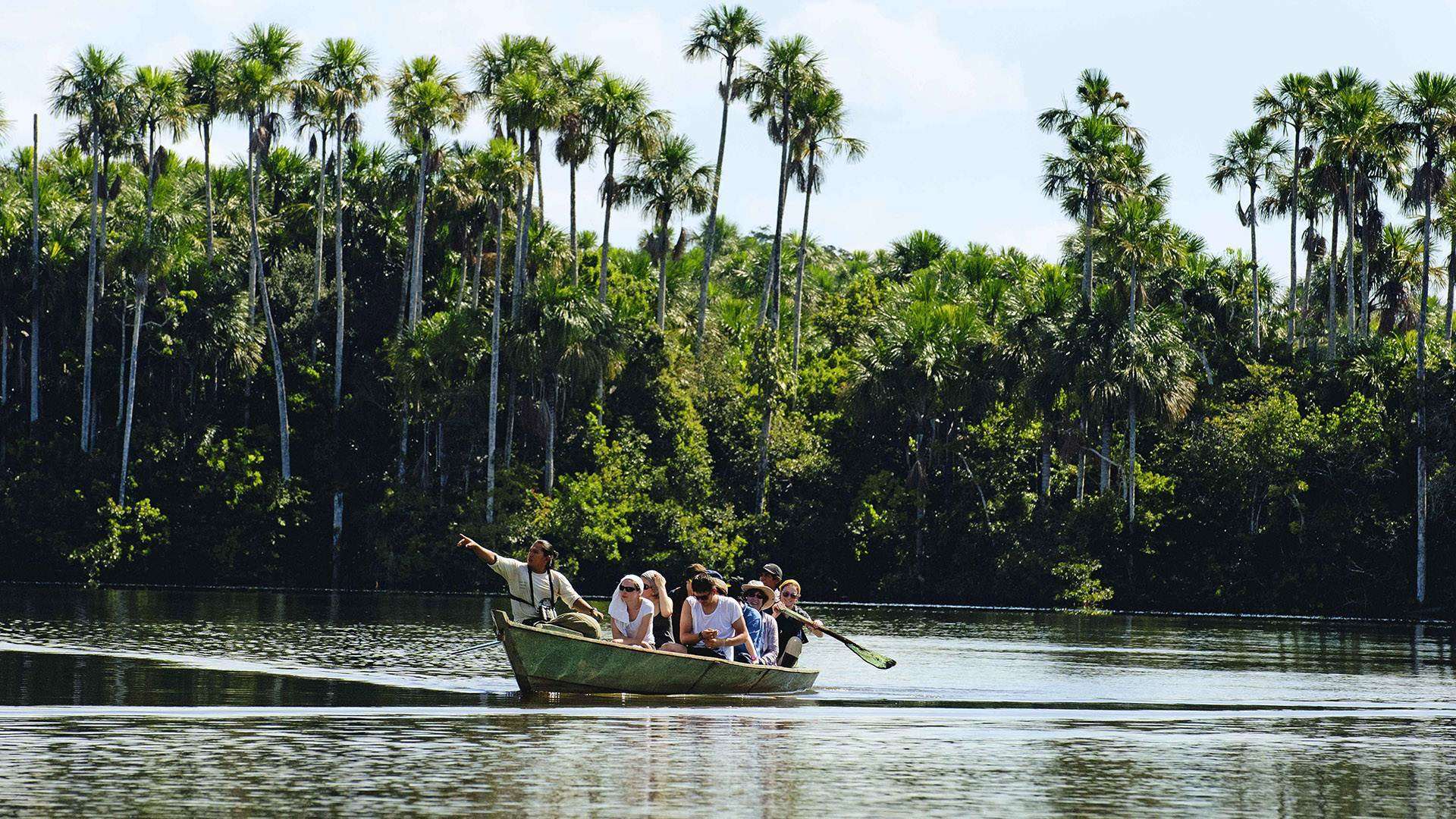Dosel de la selva amazónica peruana visto desde un lodge sostenible en la Reserva Nacional Tambopata